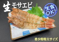 モサエビ (希少特特大)【生食用】 ※別名：がす海老