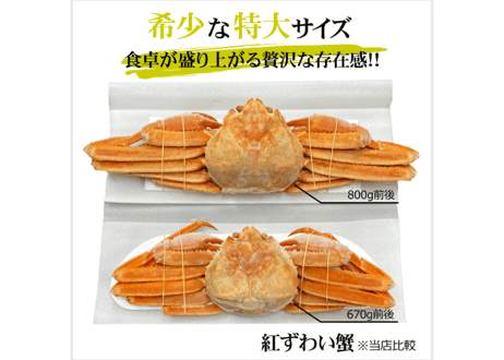 北海道産ボイル紅ずわい蟹　1尾800g前後(特大サイズ) 1尾670g前後(大サイズ)