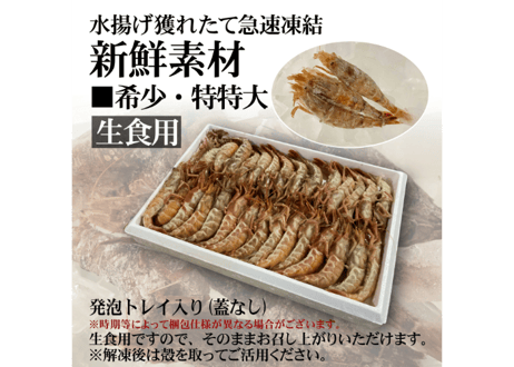 モサエビ (希少特特大)【生食用】 ※別名：がす海老