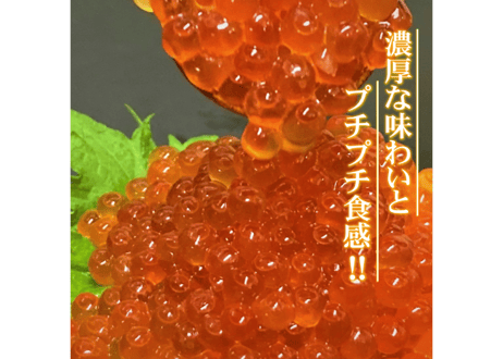 鮭イクラ醤油漬け(チャム/白鮭卵)