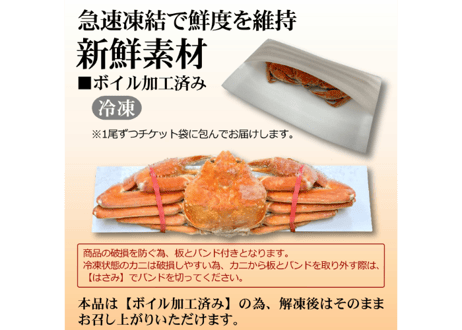 ボイル本ズワイガニ姿　1尾600g前後(大サイズ)