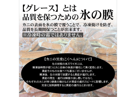 ボイル本ズワイガニ姿　1尾600g前後(大サイズ)