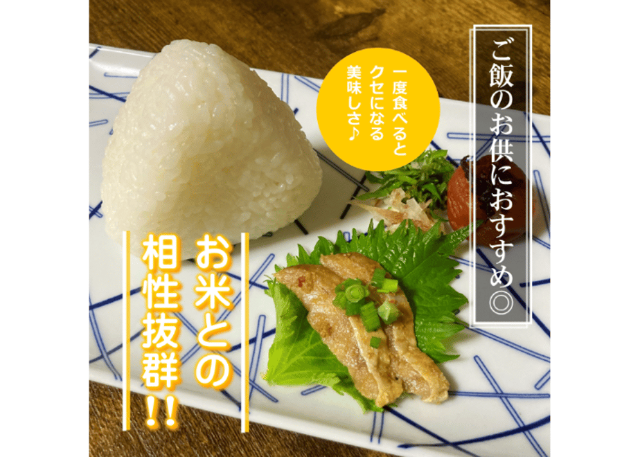 65c8a4198fd8873476cc4f1c