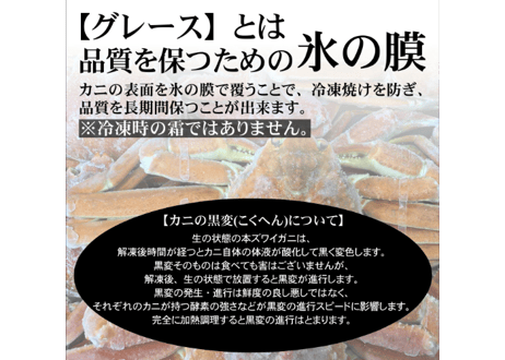 北海道産ボイル紅ずわい蟹　1尾800g前後(特大サイズ) 1尾670g前後(大サイズ)