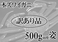 【訳あり品】ボイル本ズワイガニ姿　1尾500g前後