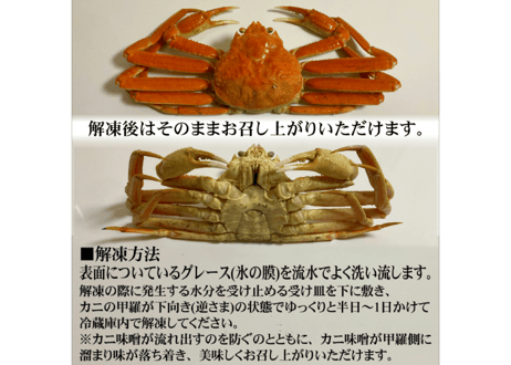 ボイル本ズワイガニ姿　1尾750g前後(特大サイズ)