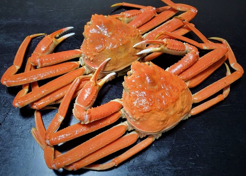 ボイル本ズワイガニ姿 1尾600g前後(大サイズ) | まるひな