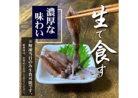 目取りホタルイカ【生食用】