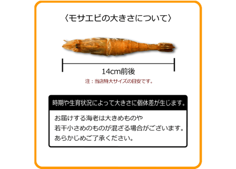 モサエビ (希少特特大)【生食用】 ※別名：がす海老