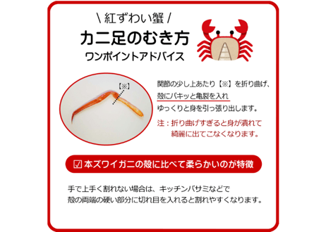 北海道産ボイル紅ずわい蟹　1尾800g前後(特大サイズ) 1尾670g前後(大サイズ)