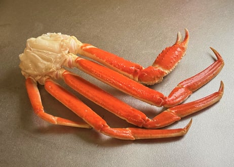 ボイル本ズワイガニ脚