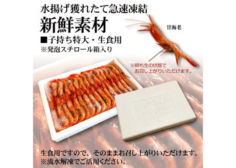 日本海産甘海老【生食用】