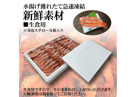日本海産甘海老【生食用】