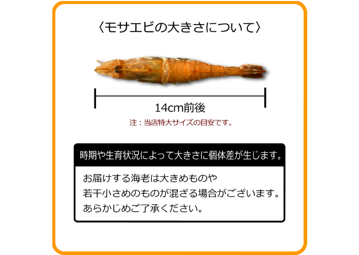 モサエビ (特大)【生食用】※別名：がす海老 | まるひな