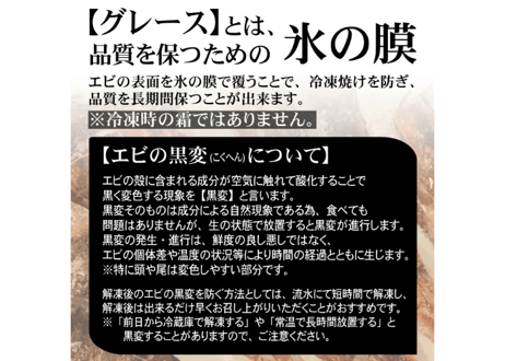 モサエビ (希少特特大)【生食用】 ※別名：がす海老