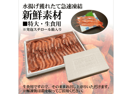 日本海産甘海老【生食用】