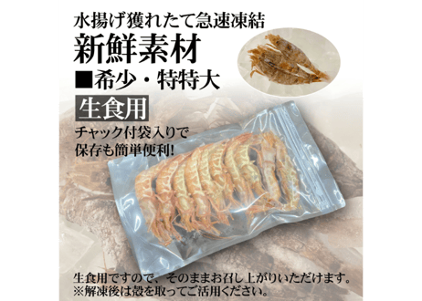 モサエビ (希少特特大)【生食用】 ※別名：がす海老