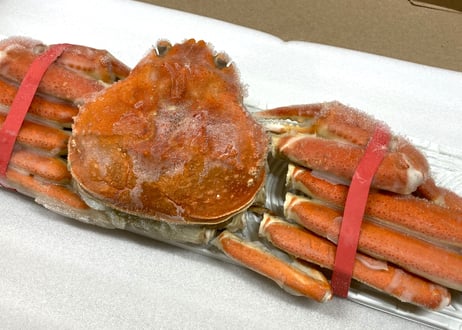 【訳あり品】ボイル本ズワイガニ姿　1尾500g前後