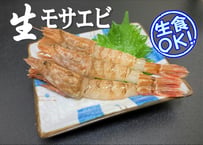 モサエビ  (特大)【生食用】※別名：がす海老