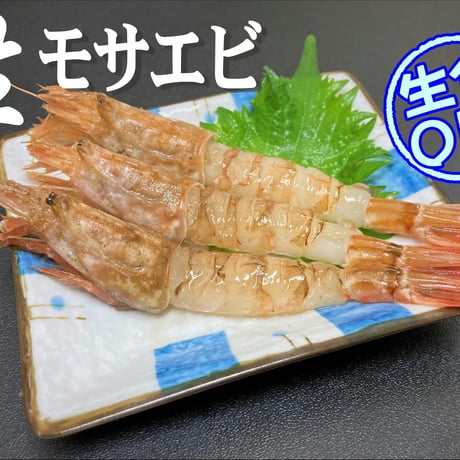 モサエビ  (特大)【生食用】※別名：がす海老