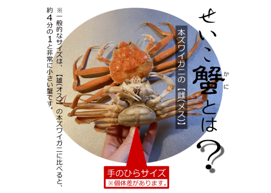 6713bf695b84b40e0c23ad75