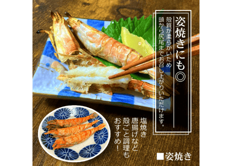 モサエビ (希少特特大)【生食用】 ※別名：がす海老