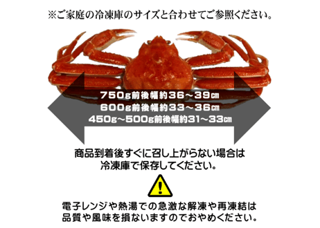 ボイル本ズワイガニ姿　1尾750g前後(特大サイズ)