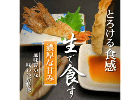 モサエビ (希少特特大)【生食用】 ※別名：がす海老