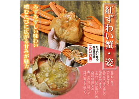 北海道産ボイル紅ずわい蟹　1尾800g前後(特大サイズ) 1尾670g前後(大サイズ)