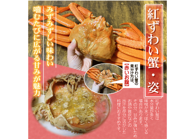 特大紅ズワイ蟹 釜茹で紅ずわい蟹（特大） – 蟹専門店マルツ公式オンラインショップ