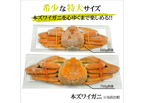 ボイル本ズワイガニ姿　1尾750g前後(特大サイズ)