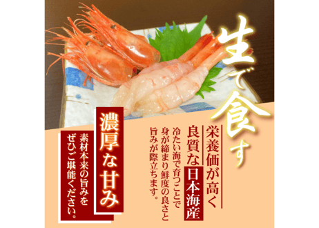 日本海産甘海老【生食用】