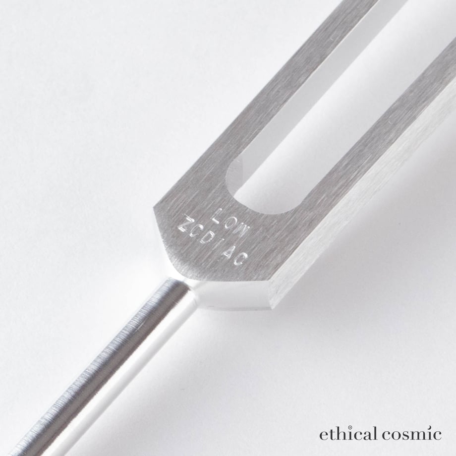 62136d560020fc64ae33073a