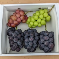３種ミックス 【数量限定】