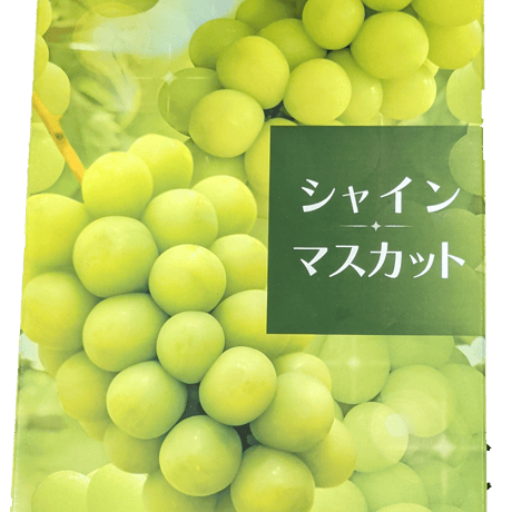 シャインマスカット 特選品 化粧箱入り ２箱