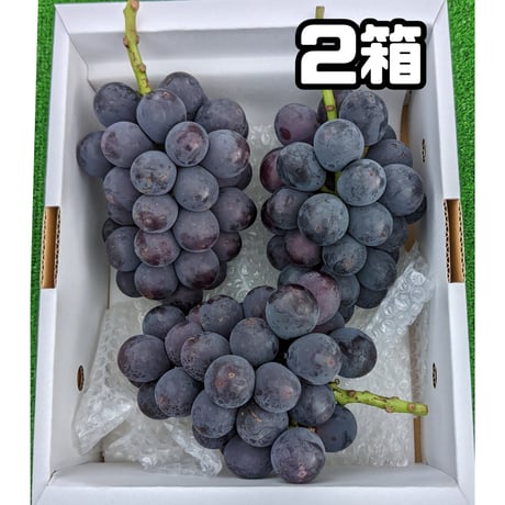 巨峰 ２キロ ２箱