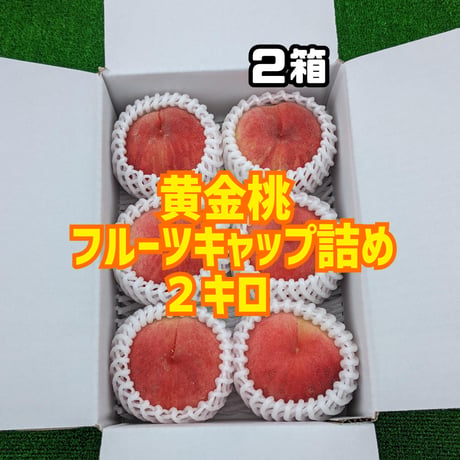 黄金桃 ２キロ (フルーツキャップ詰め)２箱