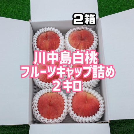 川中島白桃 ２キロ(フルーツキャップ詰め)２箱
