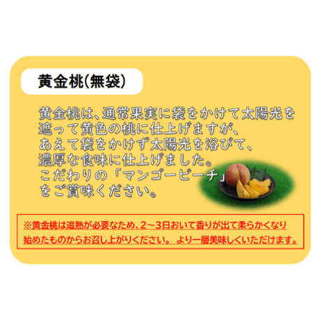 黄金桃  ２キロ (フルーツキャップ詰め)