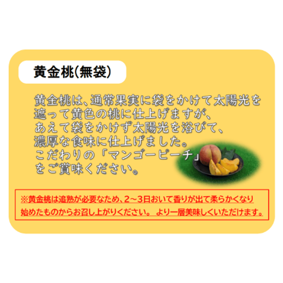 6a313161029af11712656ede