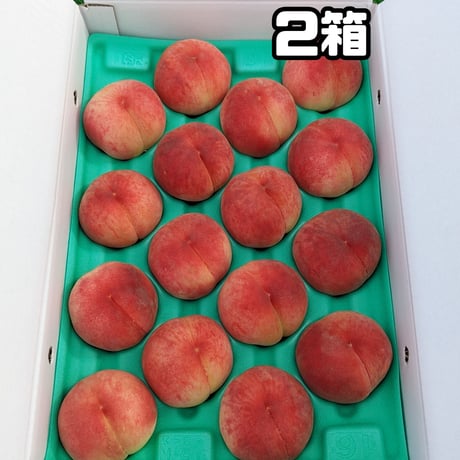 まどか 大玉 ５キロ ２箱