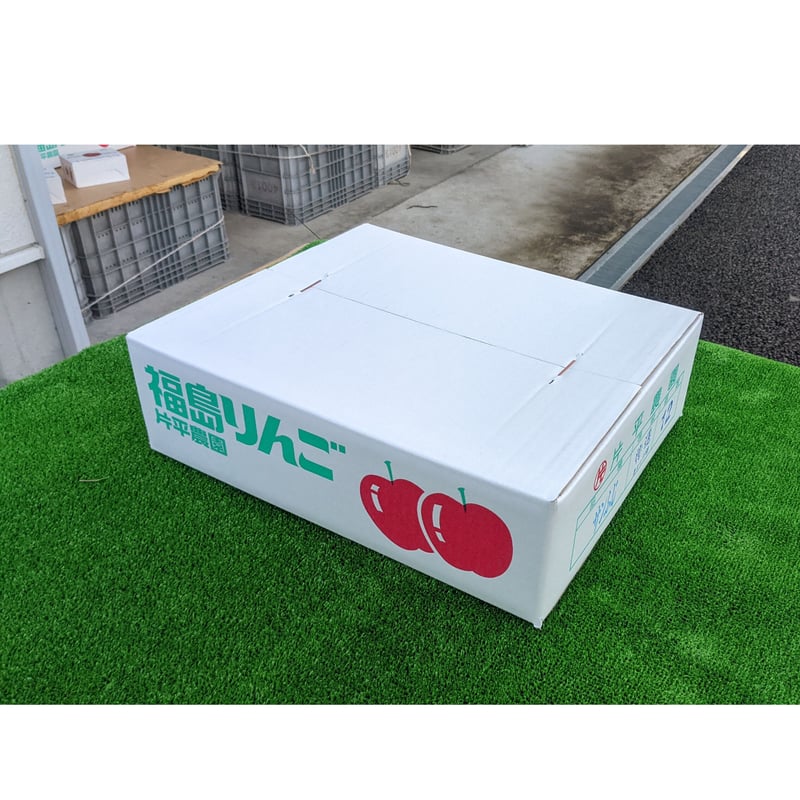 サンふじ 普通玉 5キロ | 片平農園