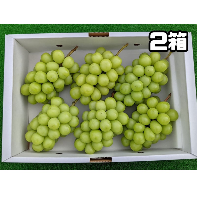 ヒゲ　シャインマスカット4キロ箱✕2 シャインマスカット 4キロ 2箱 | 片平農園