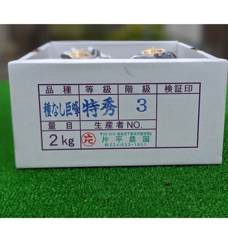 巨峰 ２キロ