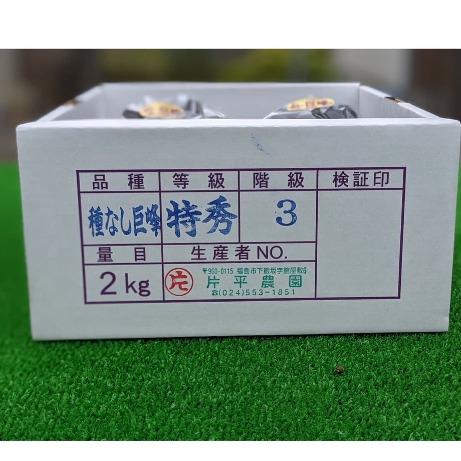 62fb4b1c8691ec4bf16ef492