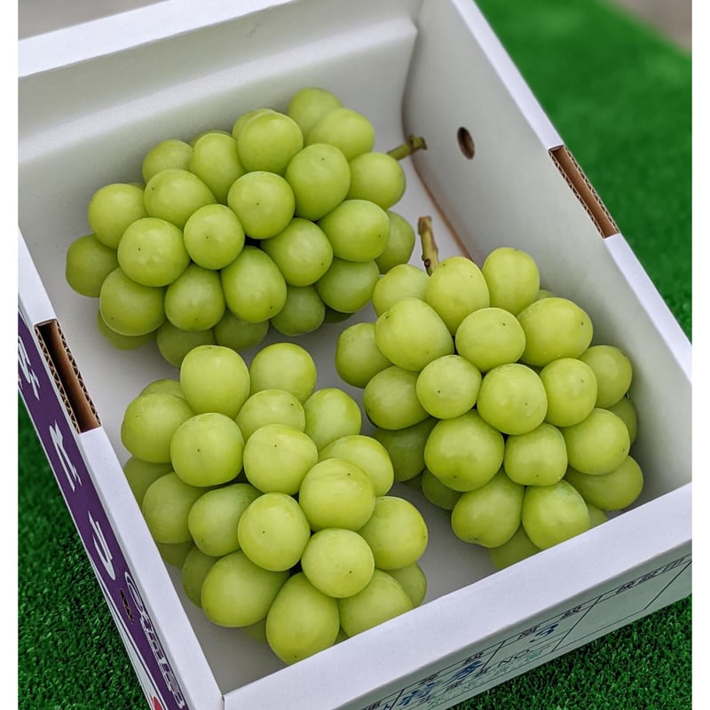 シャインマスカット 2キロ | 片平農園