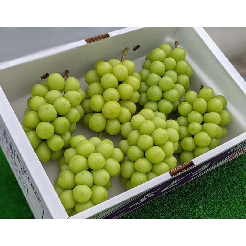 May様　シャインマスカット4キロ家庭用 シャインマスカット” 秀品 5〜10房 約4kg 産地厳選【予約 8月