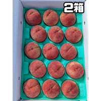 川中島白桃 大玉 ５キロ ２箱