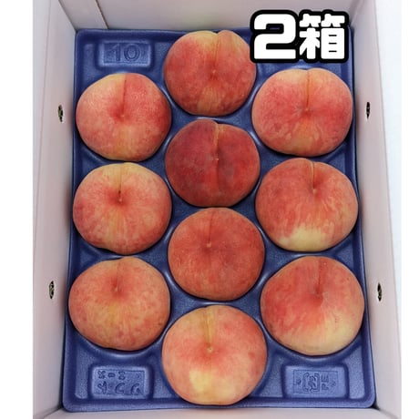 まどか 大玉 3キロ ２箱