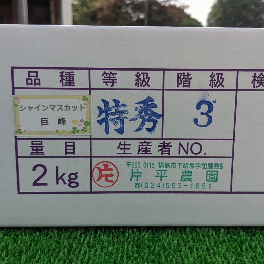 631349e3c36dbe404e4dce12